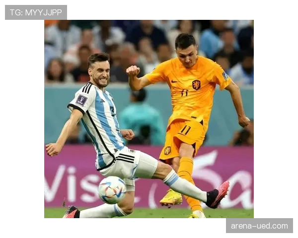 尼古拉斯·塔利亚菲科近期防守表现为何持续稳健？